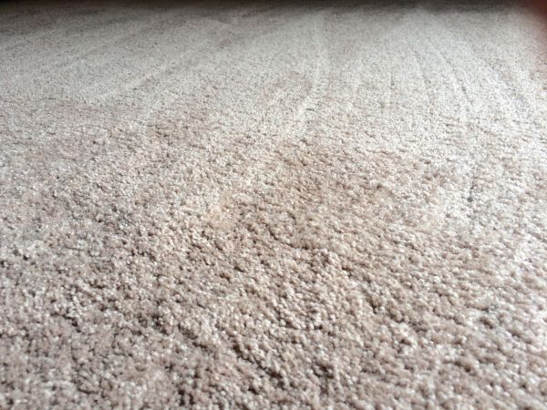 Plush Carpet Installation in Newport Beach