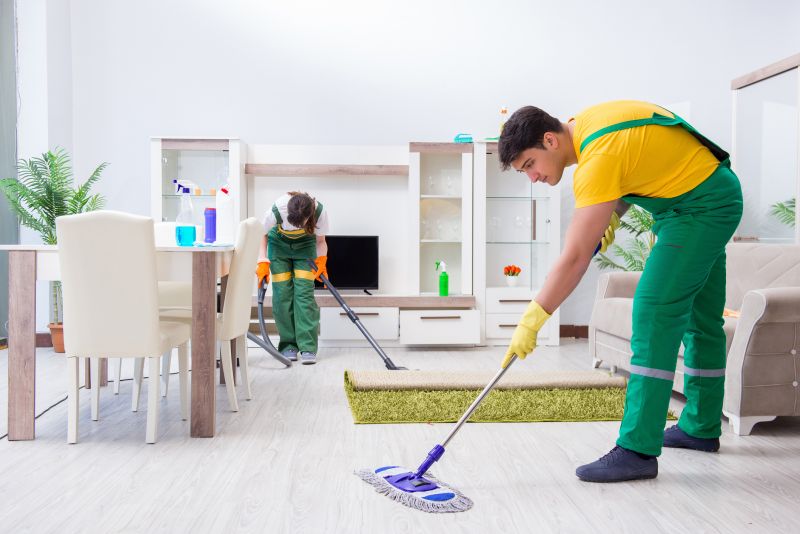 Eco-Friendly Cleaning Options